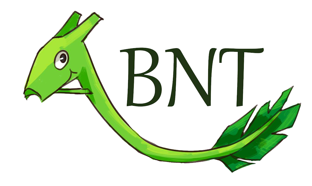 BNT System Logo